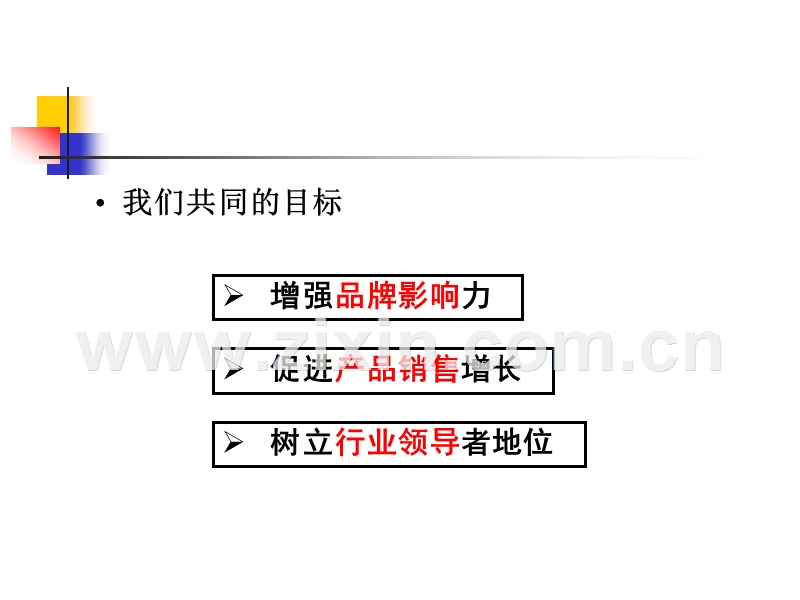 神州数码管理系统有限公司-整合营销传播策略方案草案.ppt_第2页