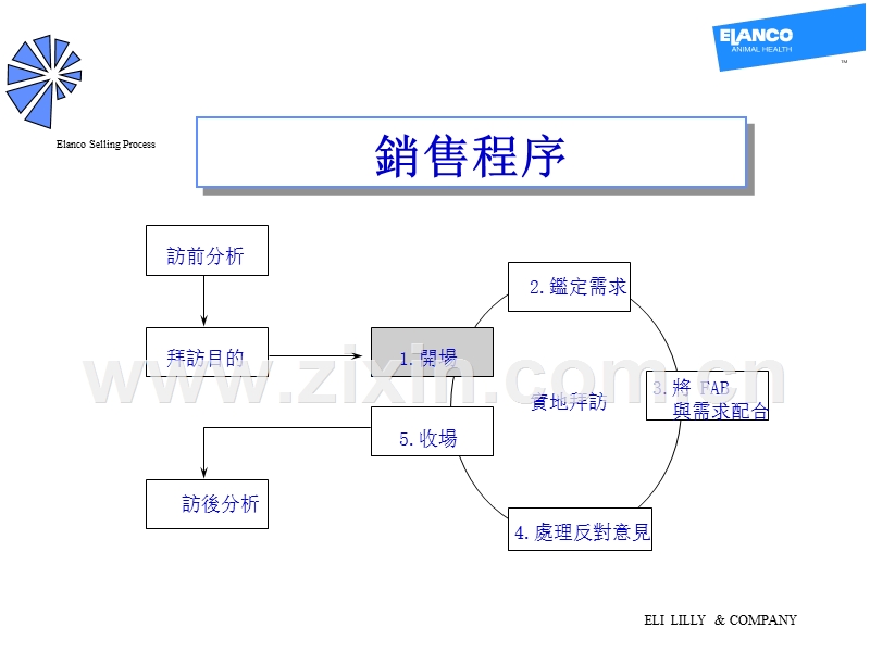 销售程序——开场白.PPT_第1页