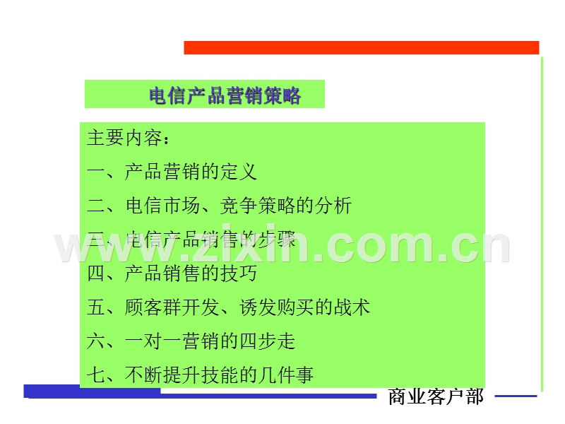 电信产品营销策略.ppt_第2页