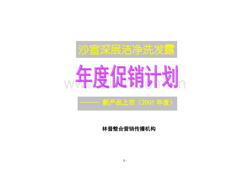 沙宣深层洁净洗发露年度促销计划.DOC_第1页