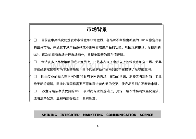 沙宣深层洁净洗发露年度促销计划.DOC_第2页