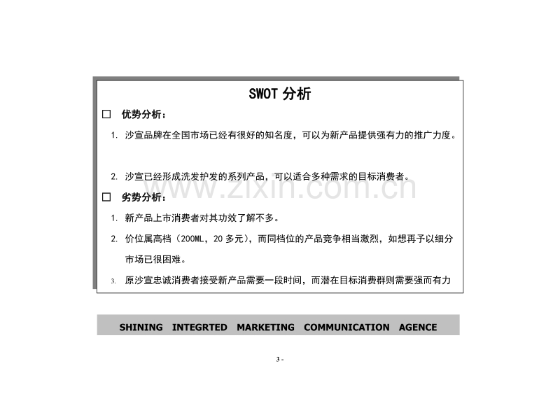 沙宣深层洁净洗发露年度促销计划.DOC_第3页