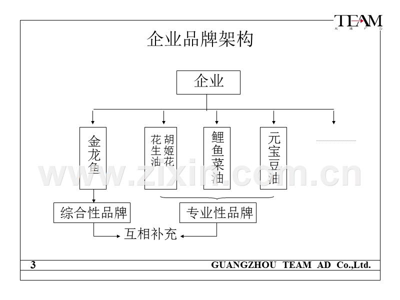 花生油品牌战略规划.PPT_第3页