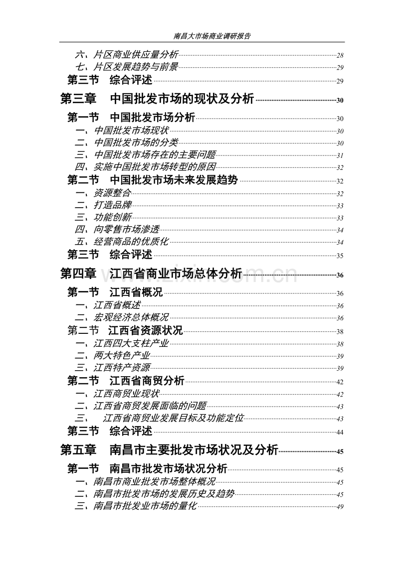 南昌大市场商业调研报告.DOC_第2页