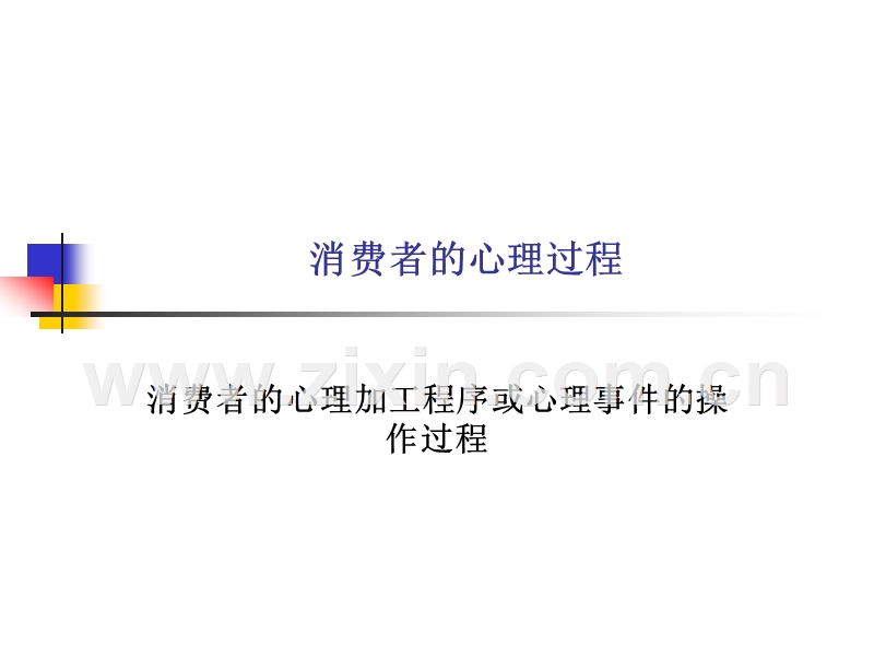 消费者的心理过程.PPT_第1页