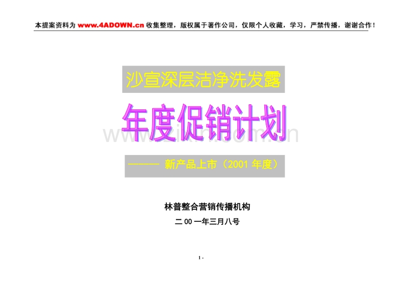 沙宣深层洁净洗发露年度促销计划新产品上市（2001年度）.doc_第1页