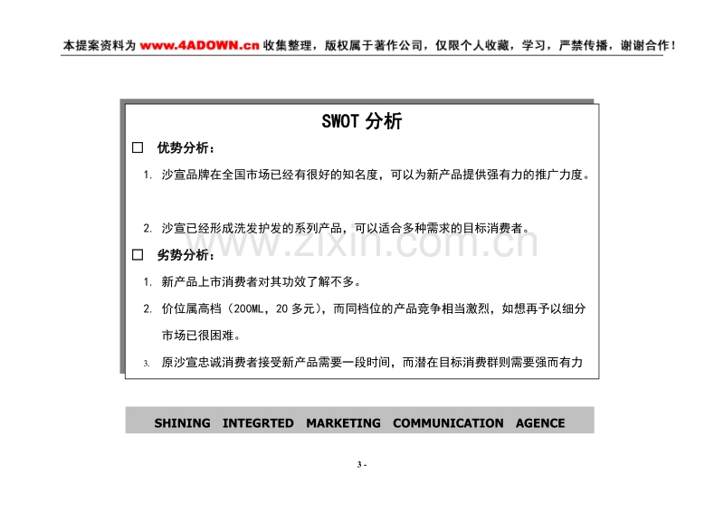 沙宣深层洁净洗发露年度促销计划新产品上市（2001年度）.doc_第3页