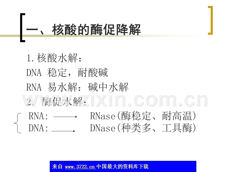 生物化学-核苷降解和核苷酸代谢.ppt_第2页