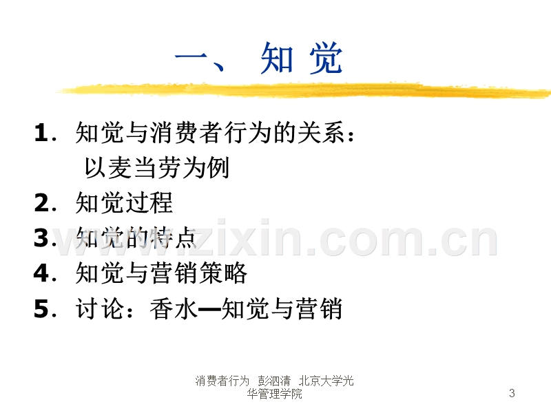 消费者行为分析影响消费者行为的内部因素.PPT_第3页