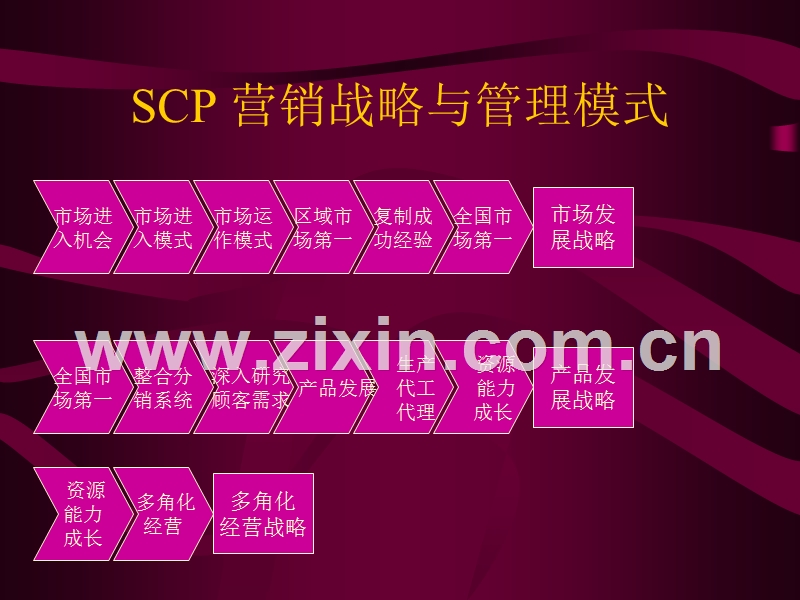 营销战略与管理模式.PPT_第3页