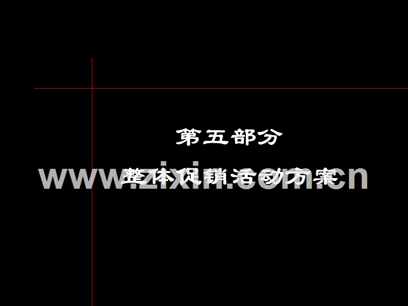 整体促销活动方案.PPT_第1页