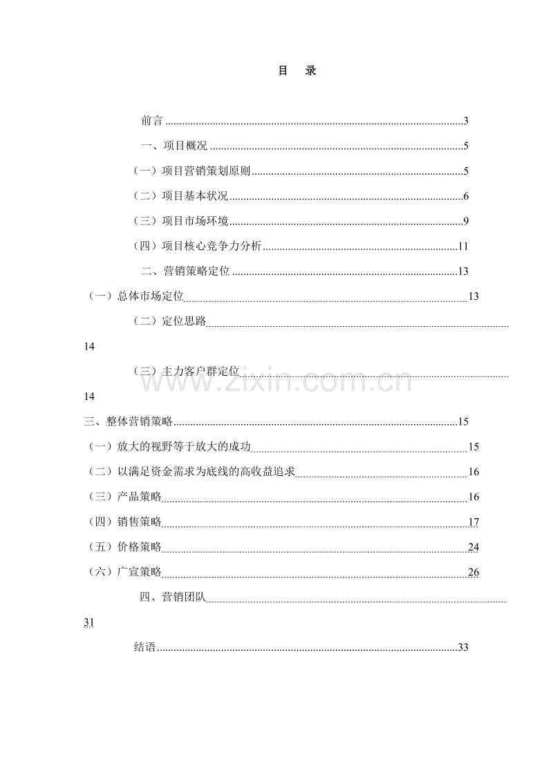 丽都全程营销策略报告升华版.doc_第2页