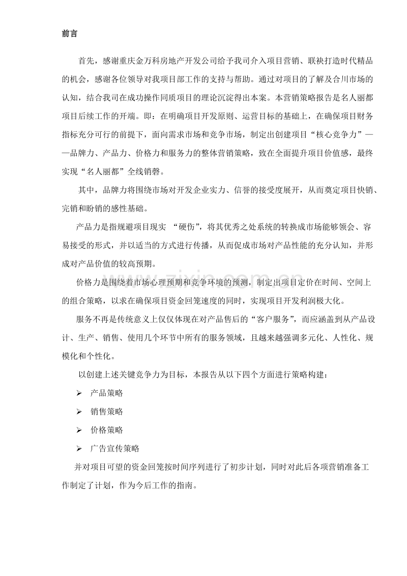 丽都全程营销策略报告升华版.doc_第3页