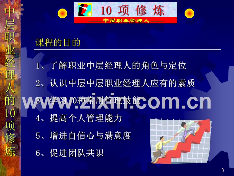 中层职业经理人的10项管理技能.ppt_第3页