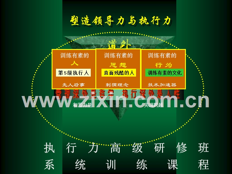 高效执行力培训课程.ppt_第2页