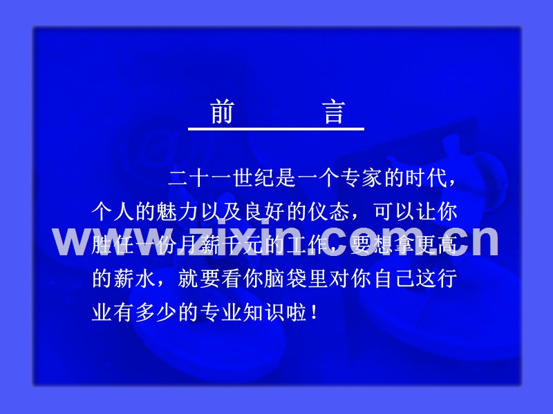 专业化销售.PPT_第2页