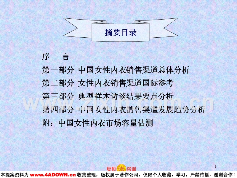 中国女性内衣销售渠道研究报告.ppt_第2页