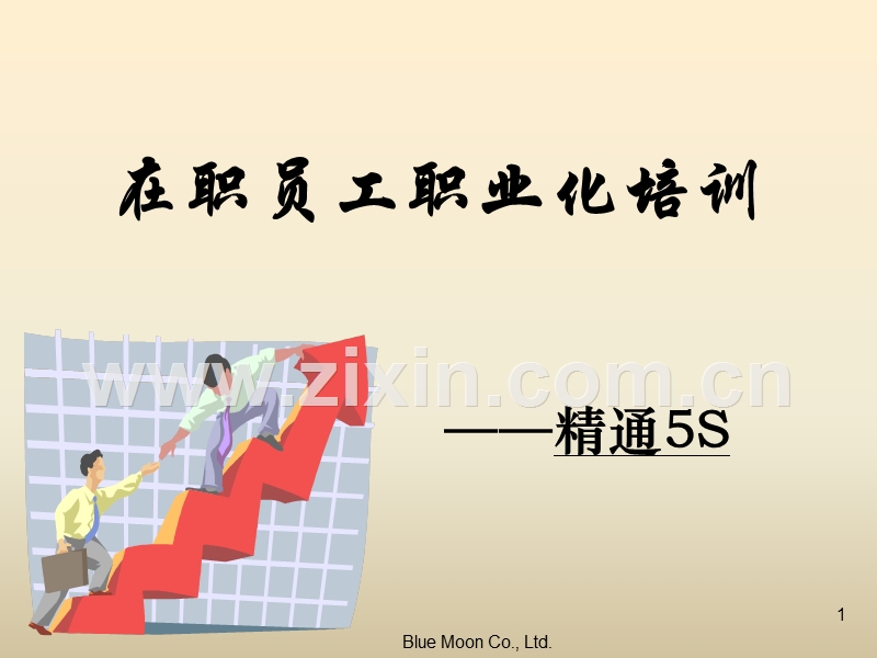 在职员工职业化培训-精通5S.ppt_第1页