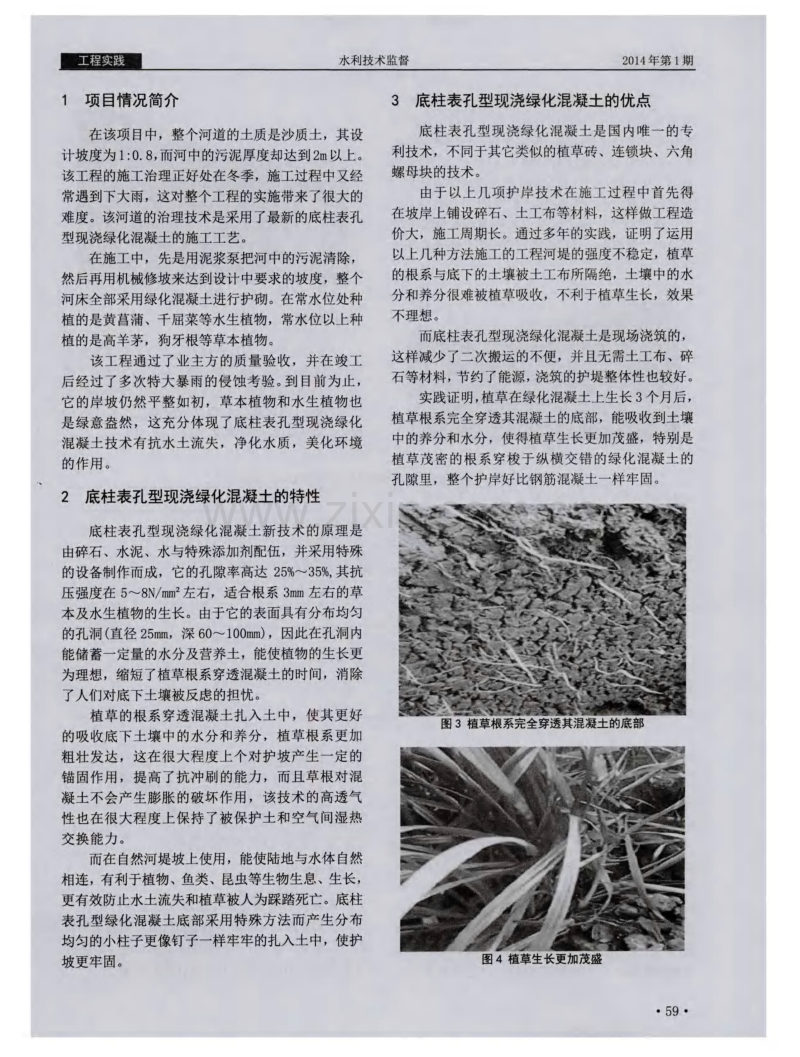 底柱表孔型现浇绿化混凝土在黑臭河道治理工程中的应用.pdf_第2页