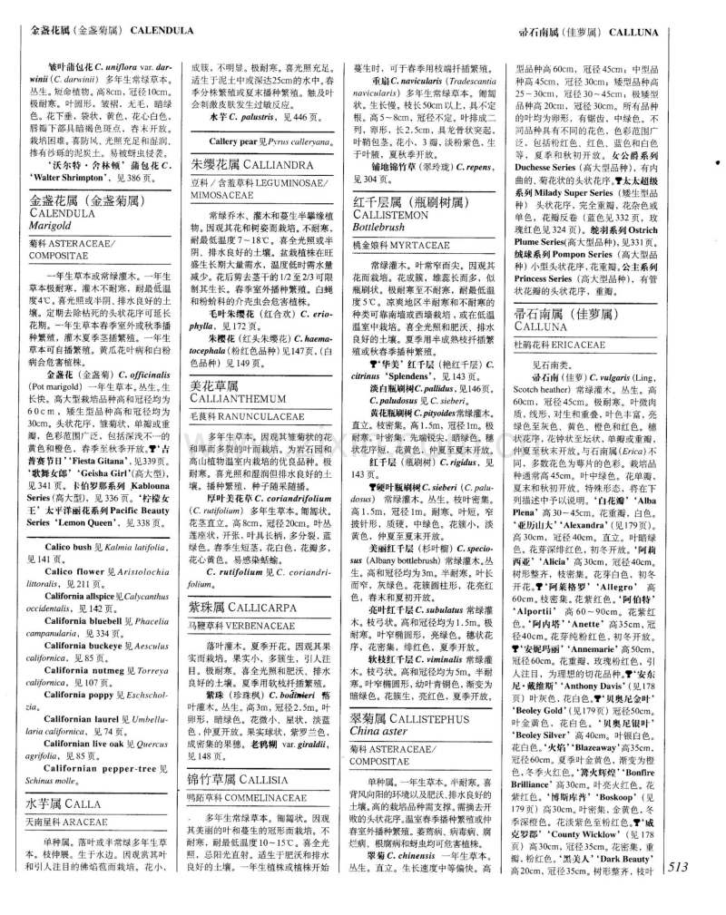 世界园林植物与花卉百科全书 12 植物词典(字母C).pdf_第2页