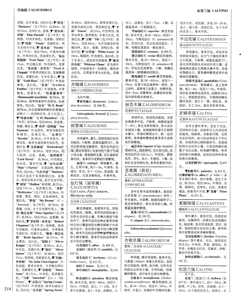 世界园林植物与花卉百科全书 12 植物词典(字母C).pdf_第3页