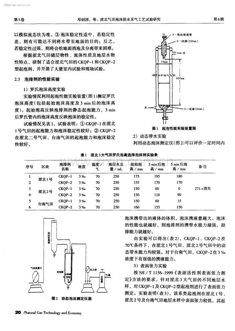 涩北气田泡沫排水采气工艺试验研究.pdf_第2页