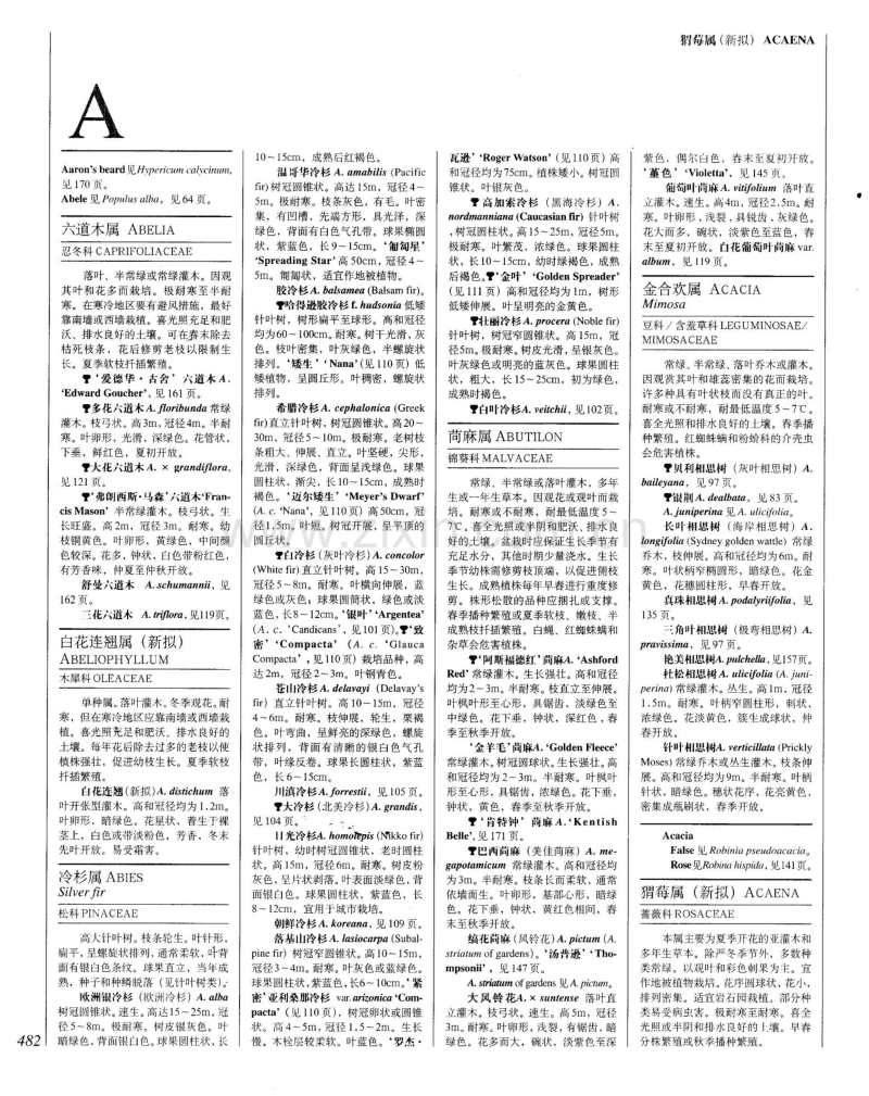 世界园林植物与花卉百科全书 12 植物词典(字母A-B).pdf_第2页