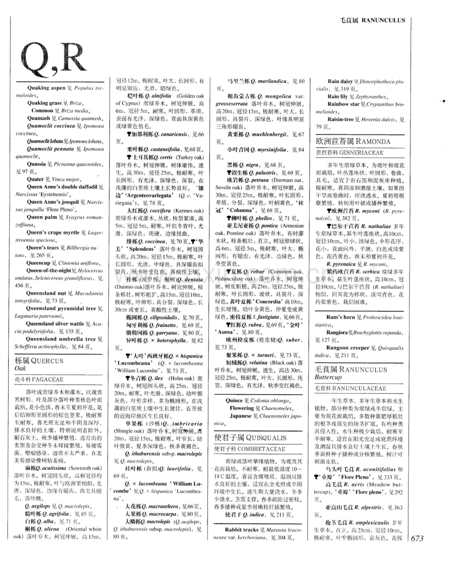 世界园林植物与花卉百科全书 12 植物词典(字母Q-R-S).pdf_第1页