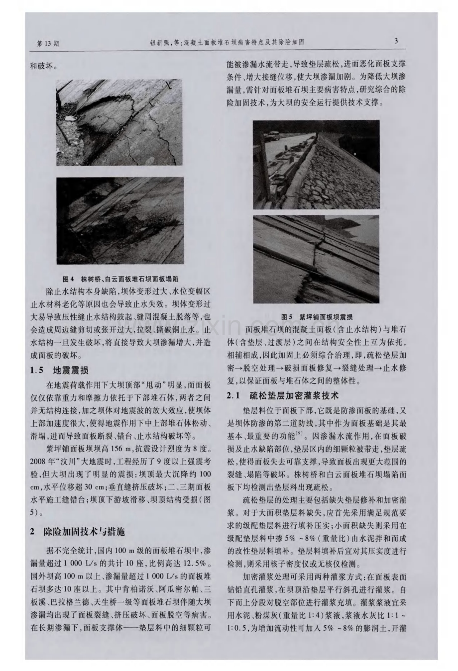 混凝土面板堆石坝病害特点及其除险加固.pdf_第3页