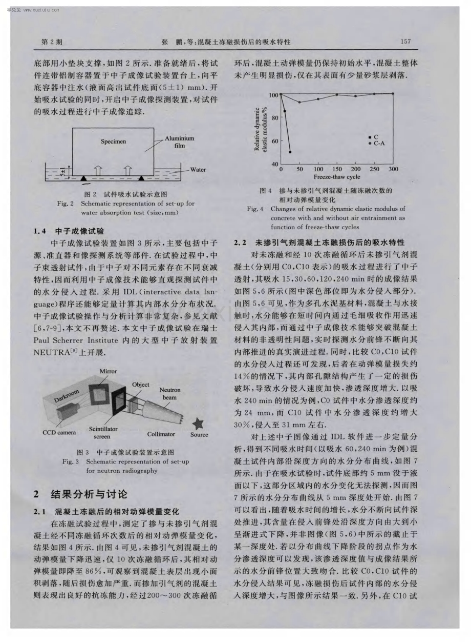 混凝土冻融损伤后的吸水特性.pdf_第3页