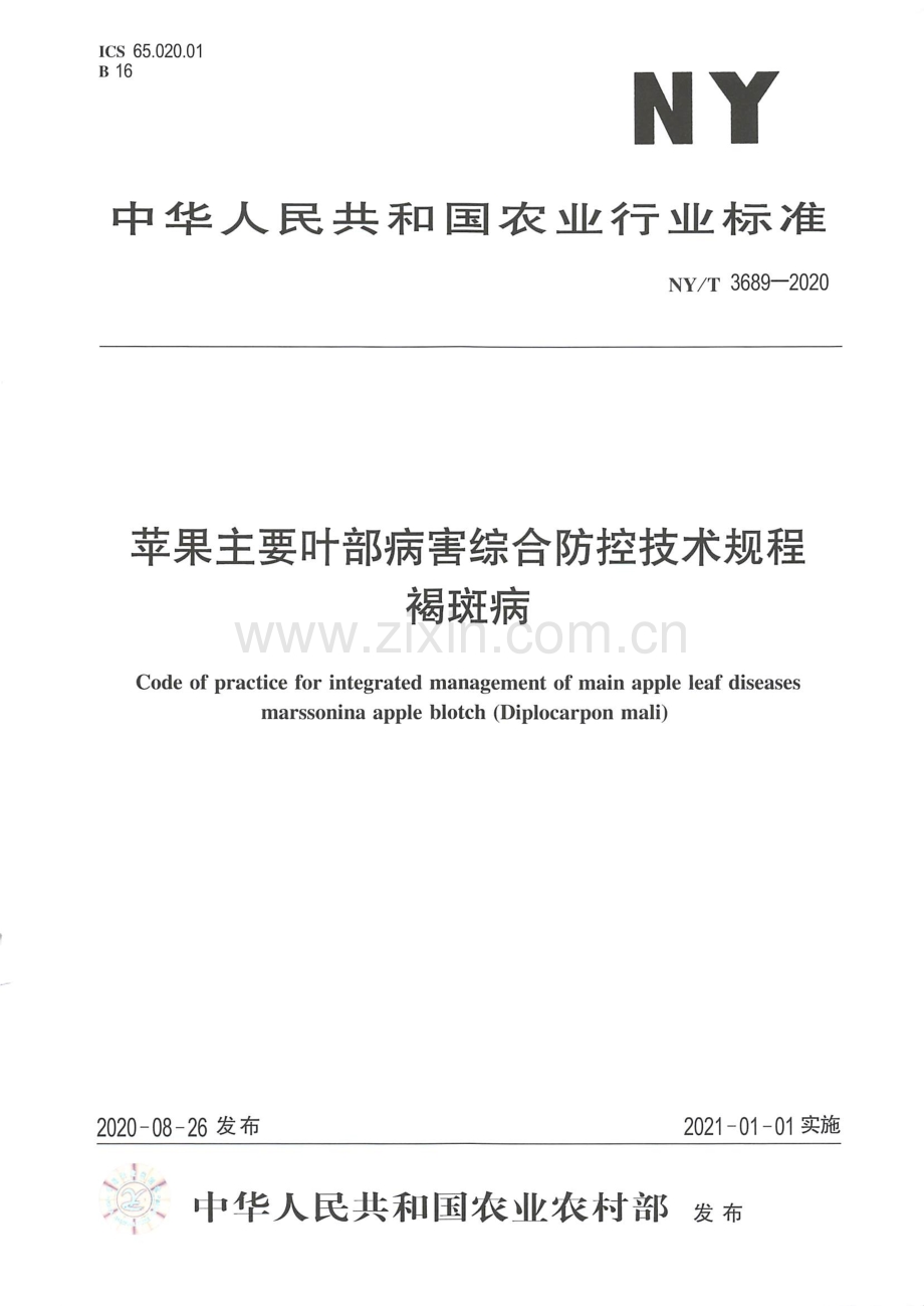 NY∕T 3689-2020 苹果主要叶部病害综合防控技术规程 褐斑病.pdf_第1页