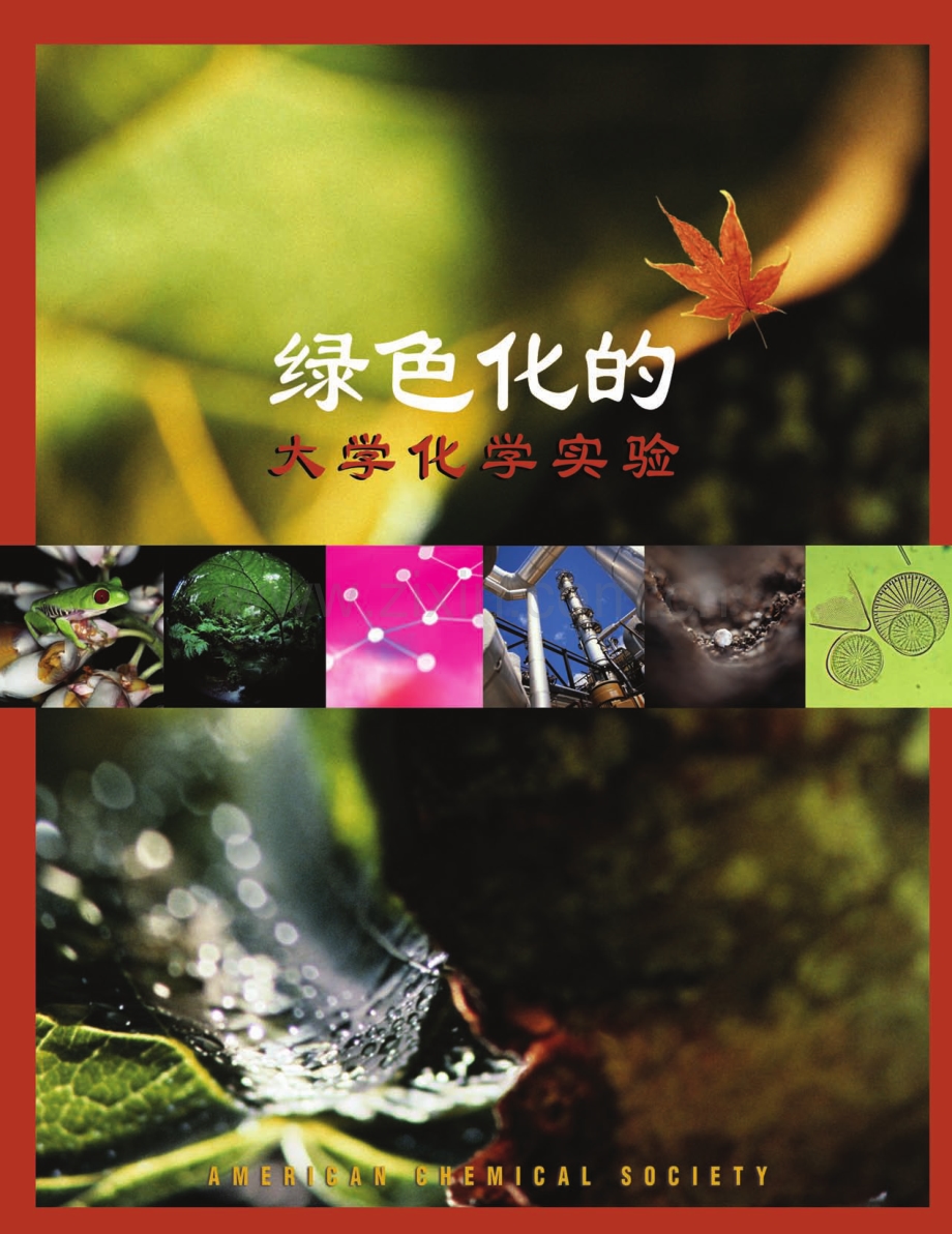 绿色化的大学化学实验[美][李朝军 译].pdf_第1页