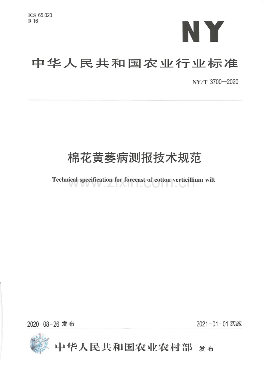 NY∕T 3700-2020 棉花黄萎病测报技术规范.pdf_第1页