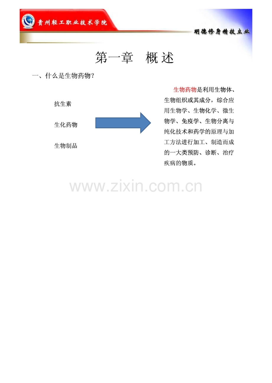 现代生物制药工艺学 王珂佳.pdf_第2页