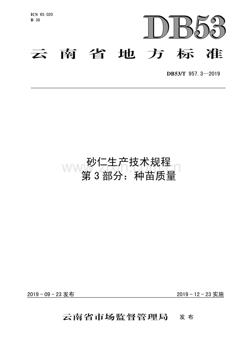 DB53∕T 957.3-2019 砂仁生产技术规程第3部分：种苗质量(云南省).pdf_第1页