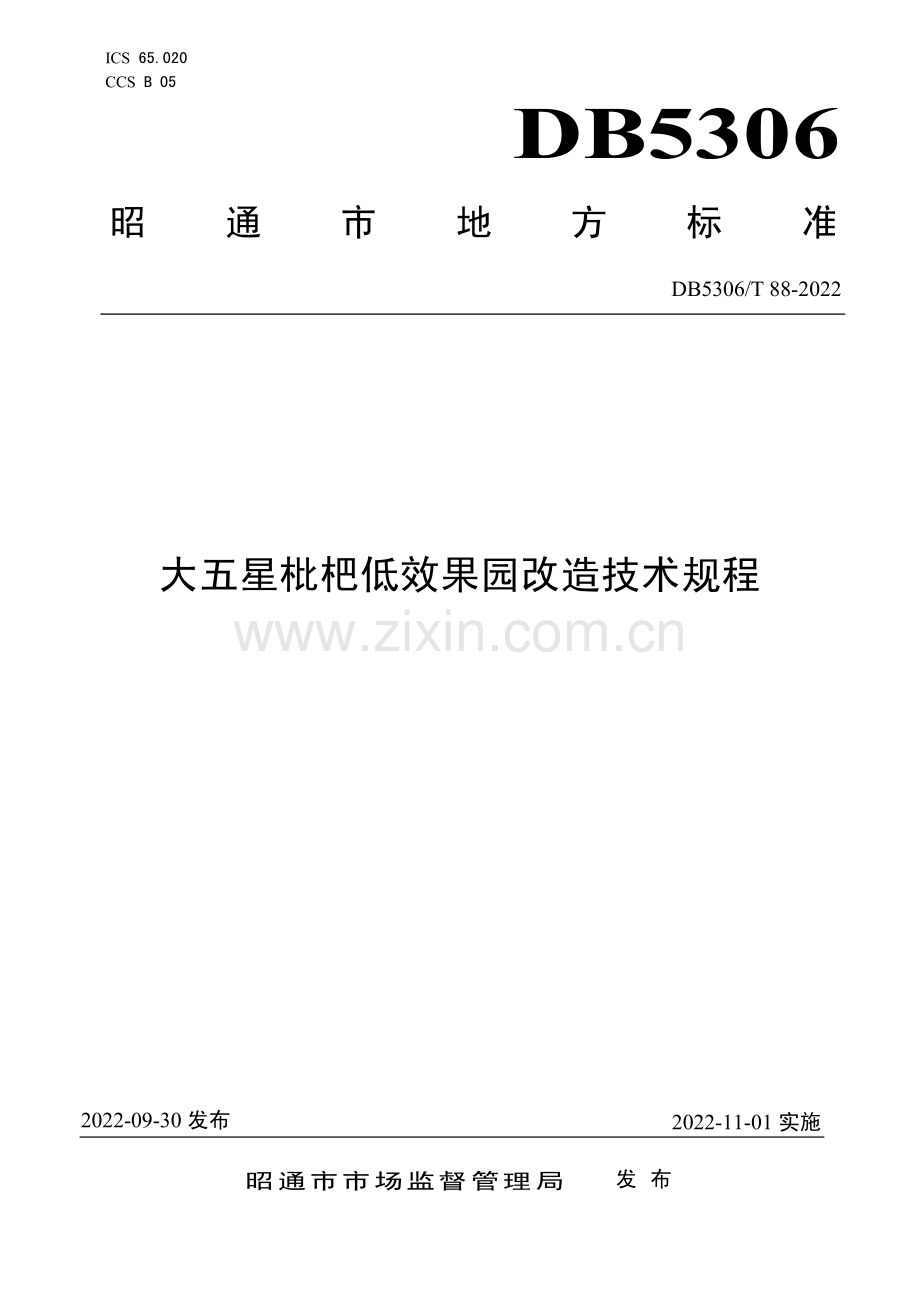 DB5306∕T 88－2022 大五星枇杷低效果园改造技术规程(昭通市).pdf_第1页