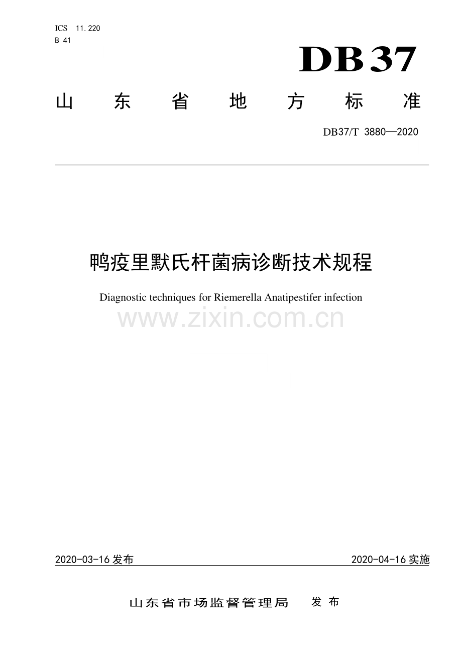 DB37∕T 3880—2020 鸭疫里默氏杆菌病诊断技术规程(山东省).pdf_第1页