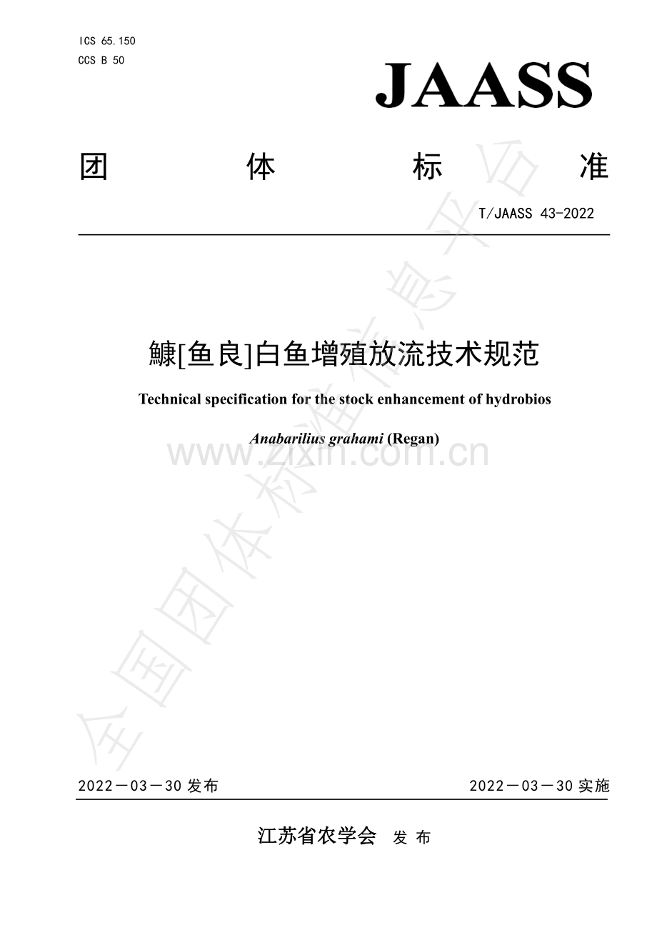 T∕JAASS 43-2022 鱇[鱼良]白鱼增殖放流技术规范.pdf_第1页