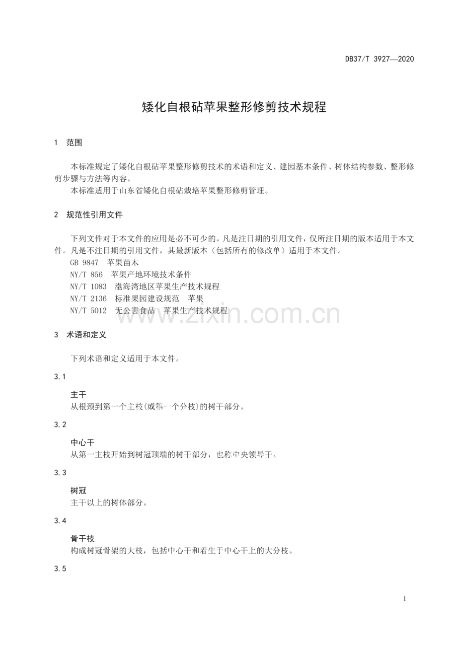 DB37∕T 3927—2020 矮化自根砧苹果整形修剪技术规程(山东省).pdf_第3页