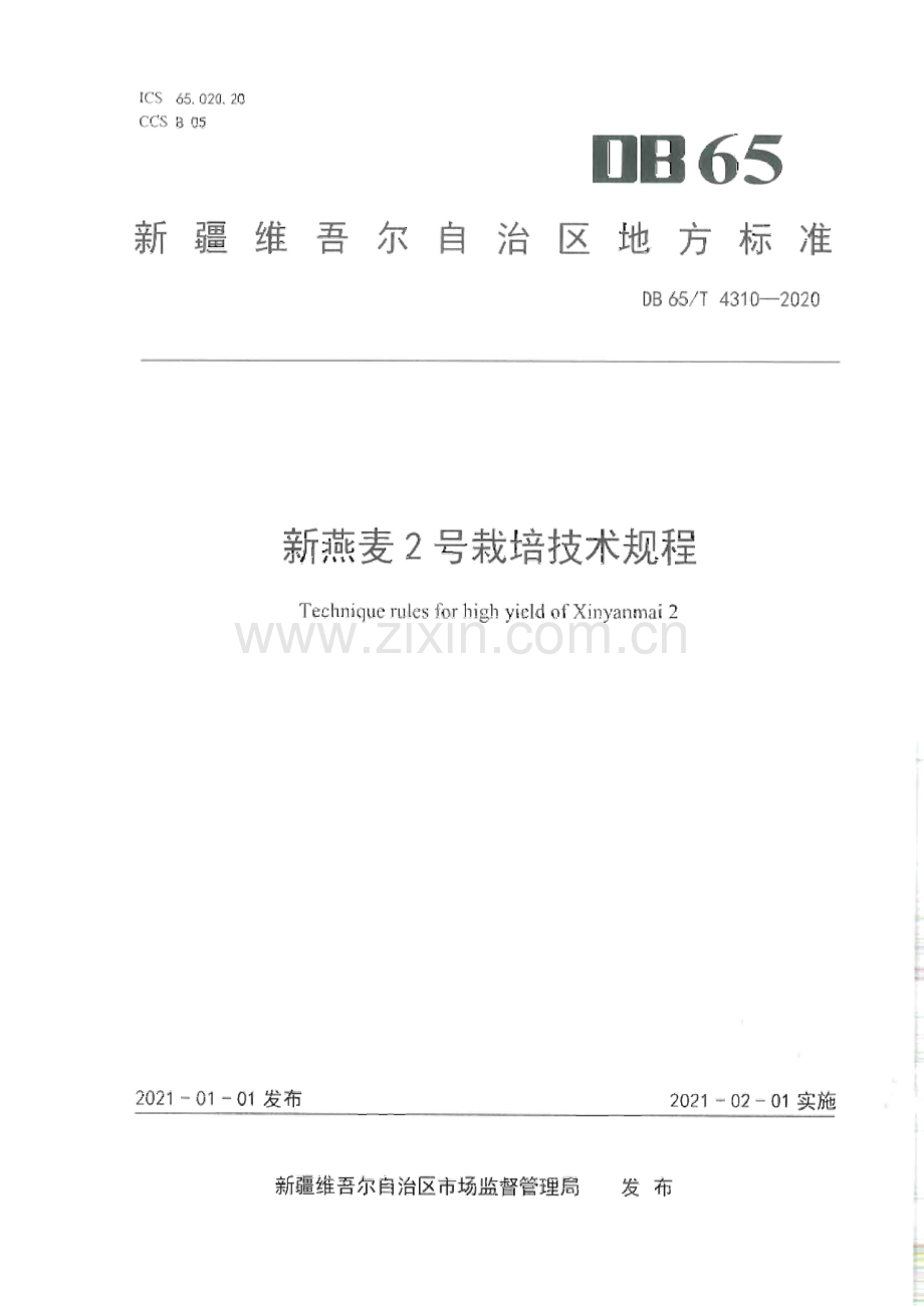 DB65∕T 4310-2020 新燕麦2号栽培技术规程(新疆维吾尔自治区).pdf_第1页