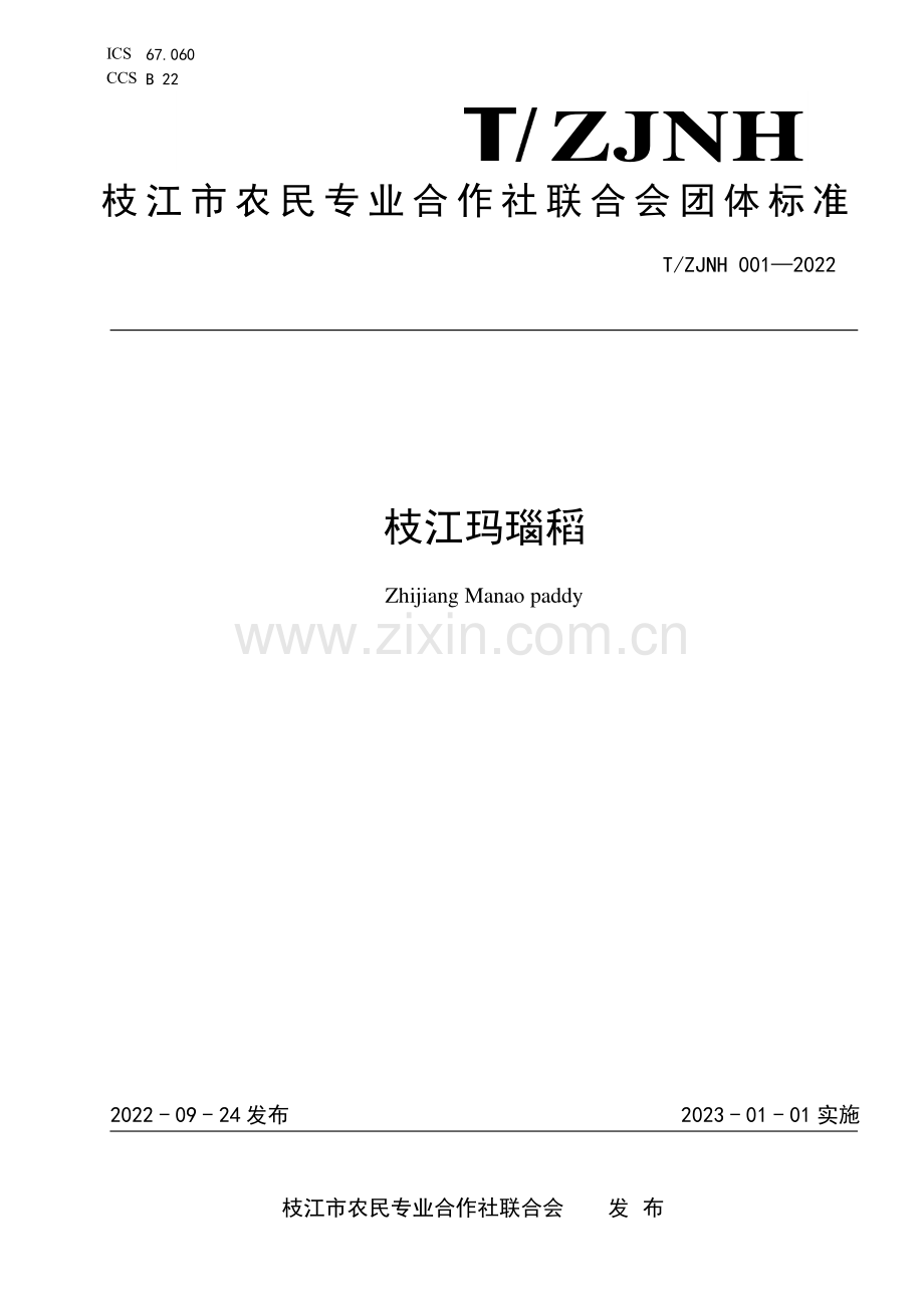 T∕ZJNH 001-2022 枝江玛瑙稻.pdf_第1页