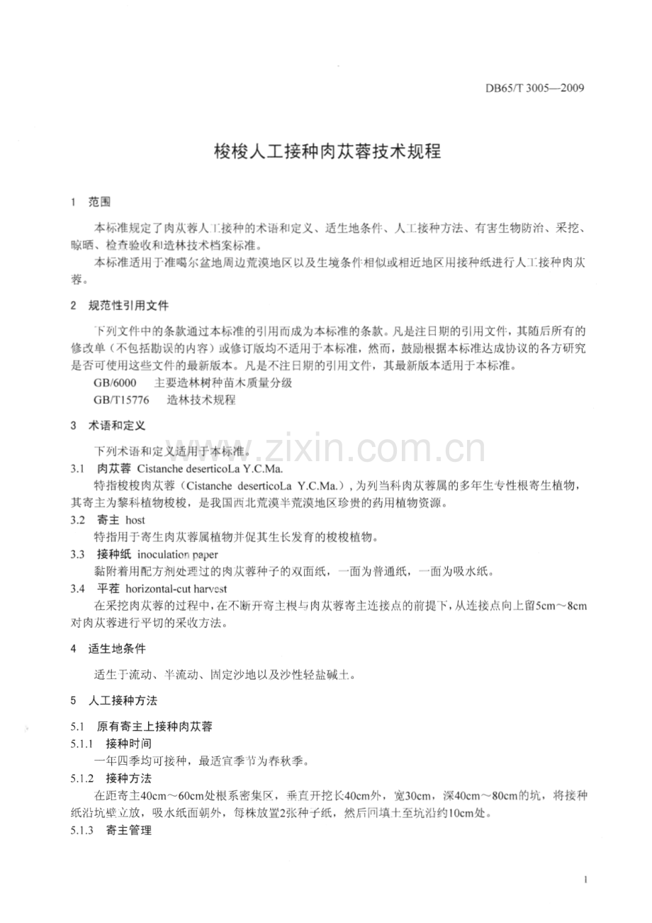 DB65∕T 3005-2009 梭梭人工接种肉苁榕技术规程(新疆维吾尔自治区).pdf_第3页