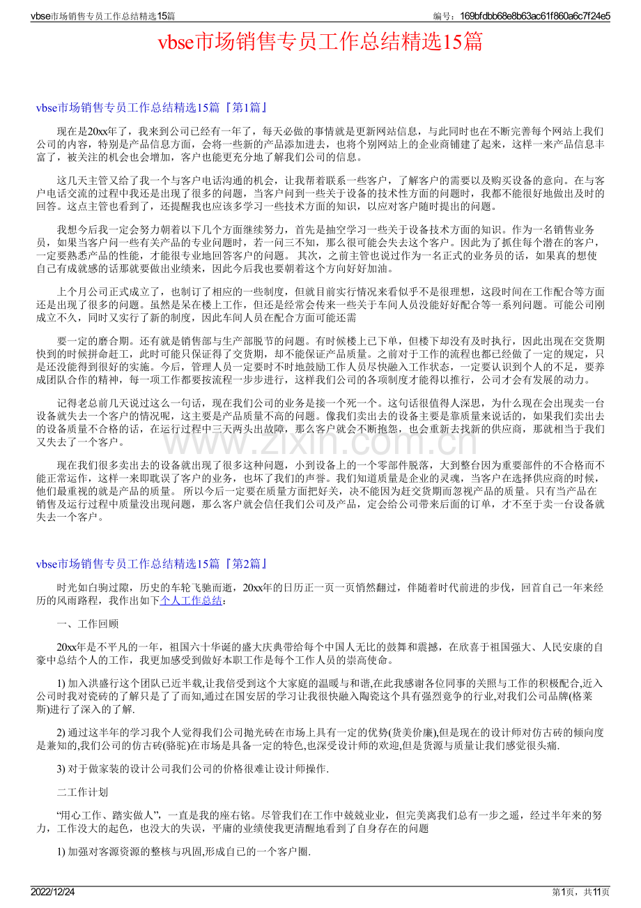 vbse市场销售专员工作总结精选15篇.pdf_第1页