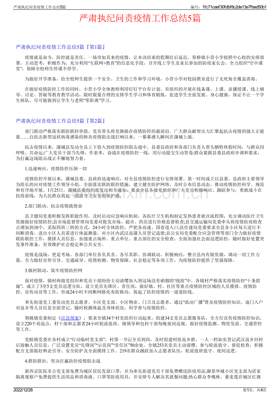 严肃执纪问责疫情工作总结5篇.pdf_第1页