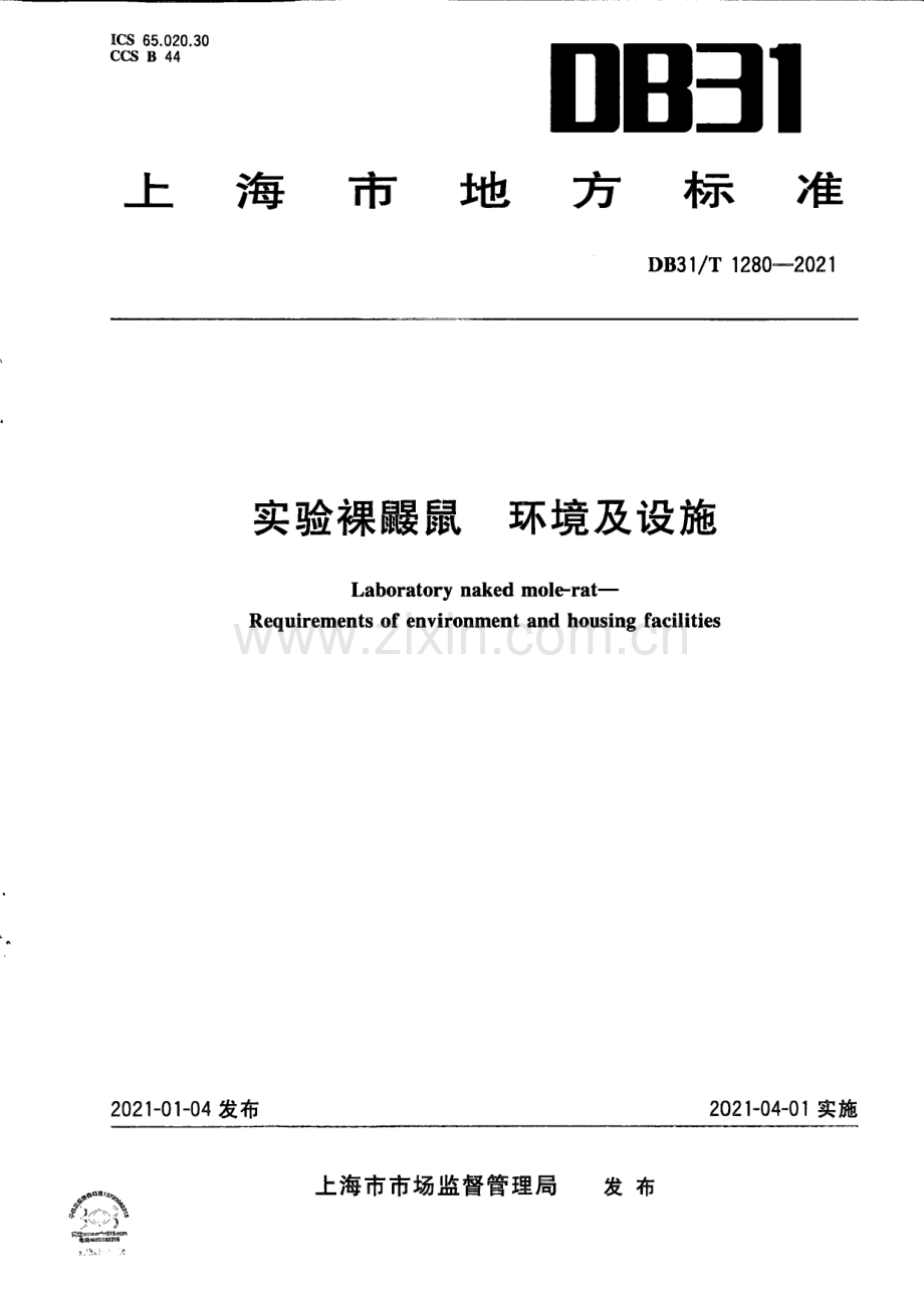 DB31∕T 1280-2021 实验裸鼹鼠 环境及设施.pdf_第1页