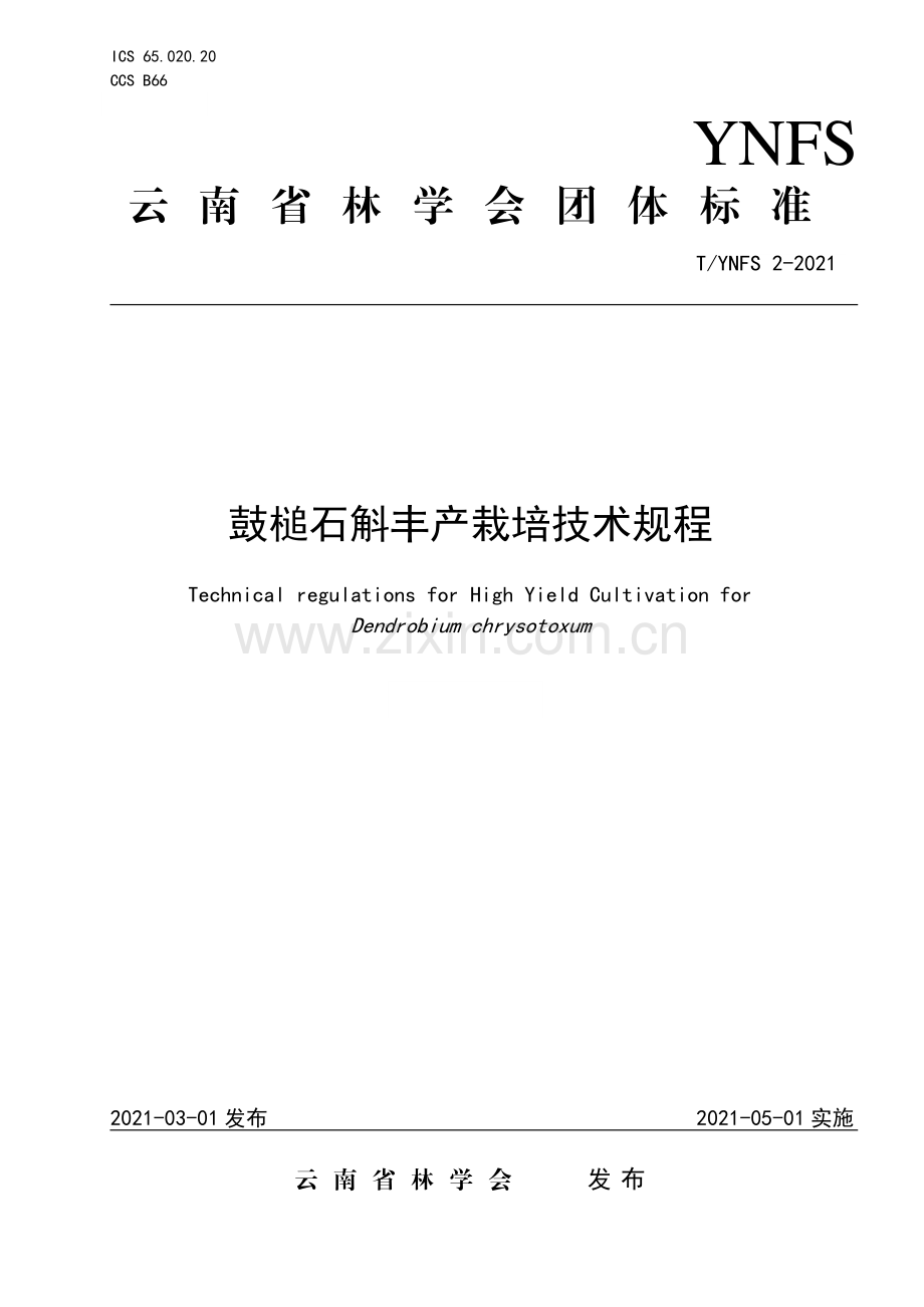 T∕YNFS 2-2021 鼓槌石斛丰产栽培技术规程.pdf_第2页