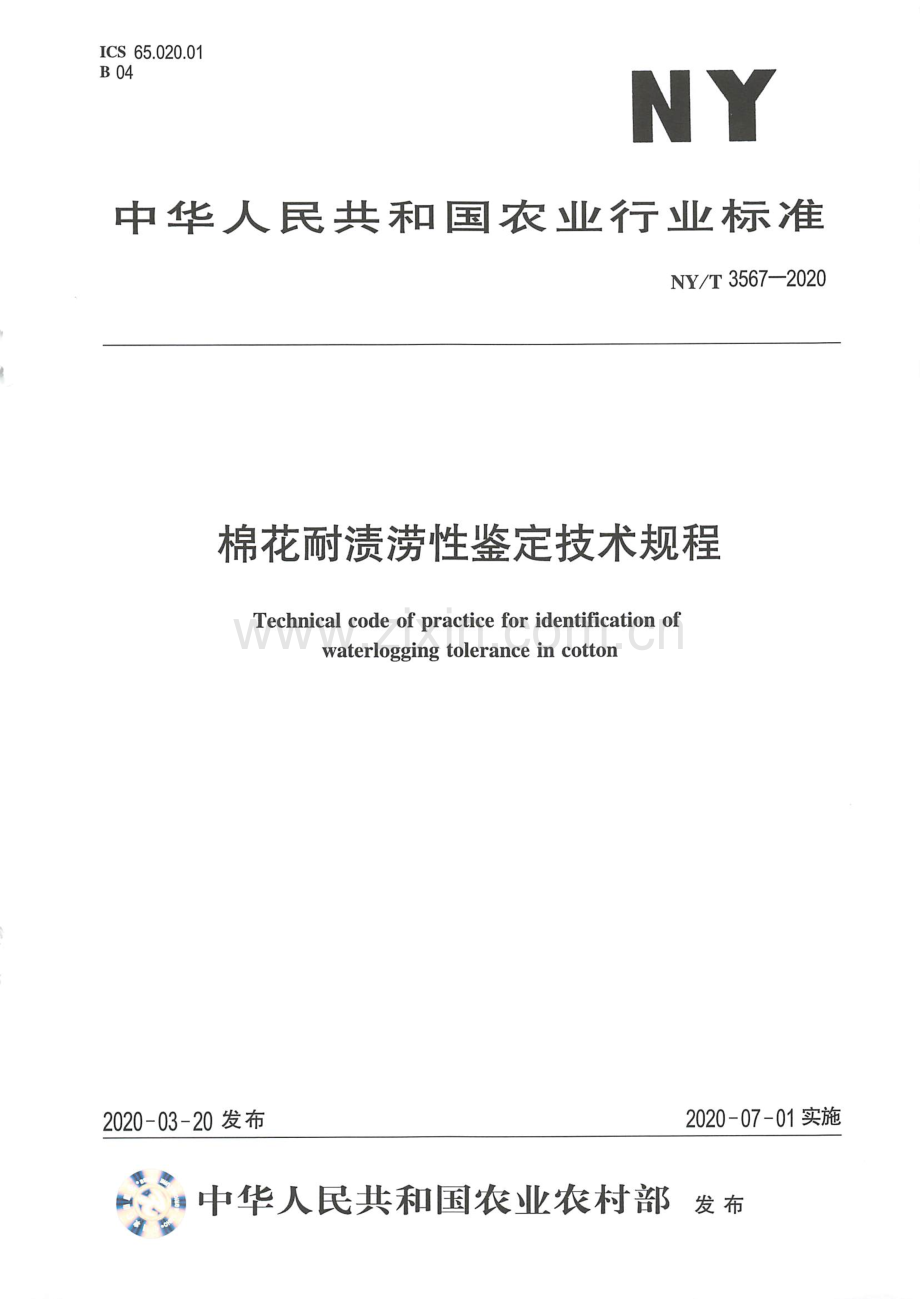 NY∕T 3567-2020 棉花耐渍涝型鉴定技术规程.pdf_第1页