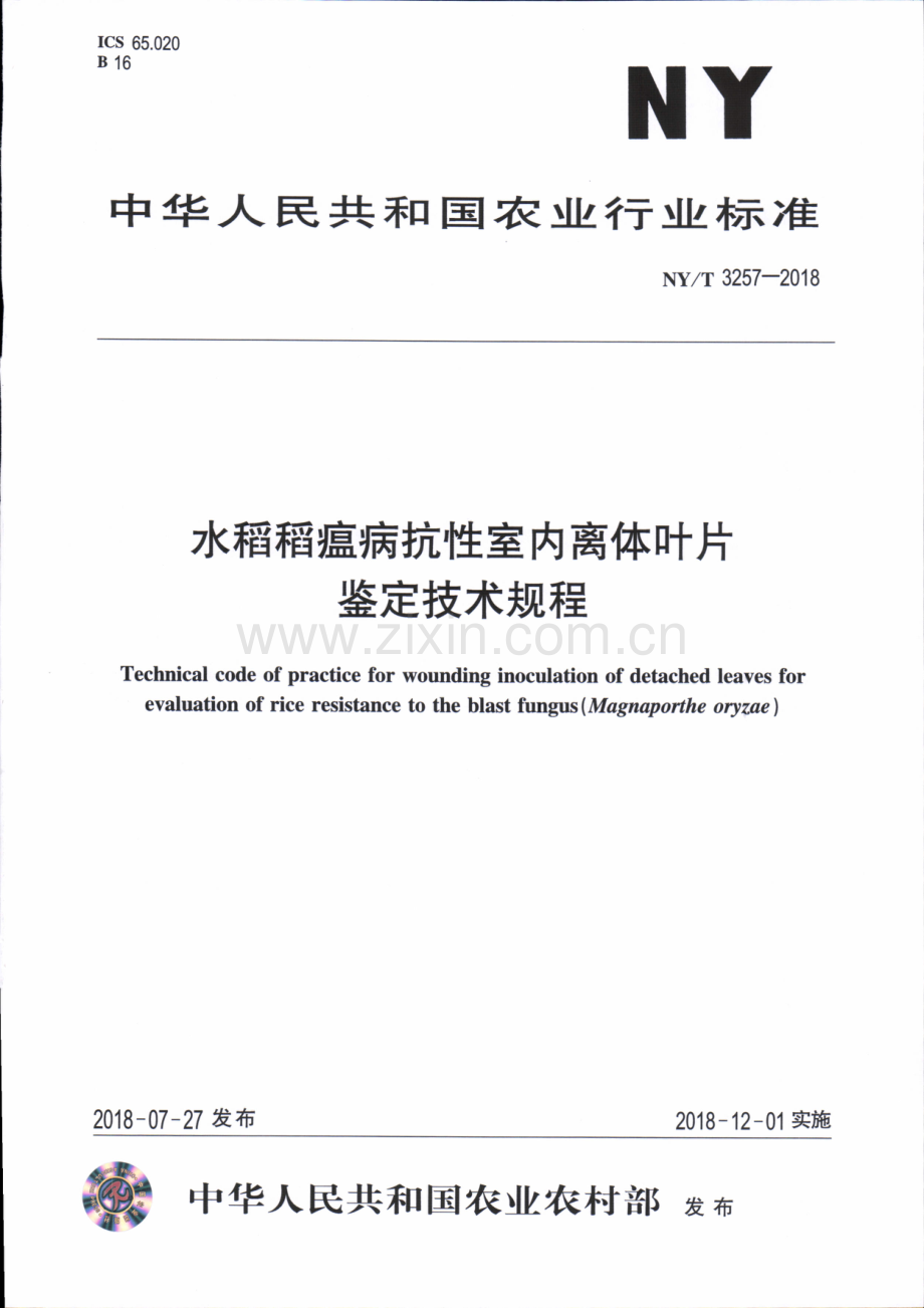 NY∕T 3257-2018 水稻稻瘟病抗性室内离体叶片鉴定技术规程.pdf_第1页