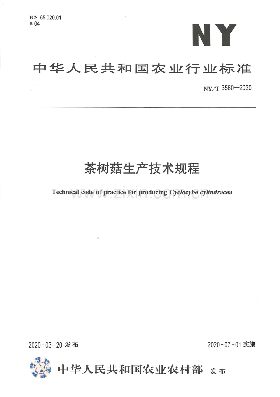 NY∕T 3560-2020 茶树菇生产技术规程.pdf_第1页