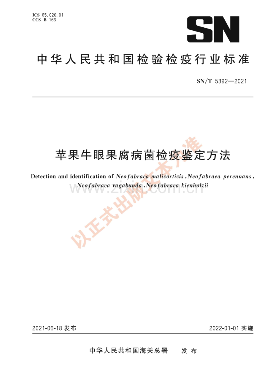 SN∕T 5392-2021 苹果牛眼果腐病菌检疫鉴定方法(出入境检验检疫).pdf_第1页